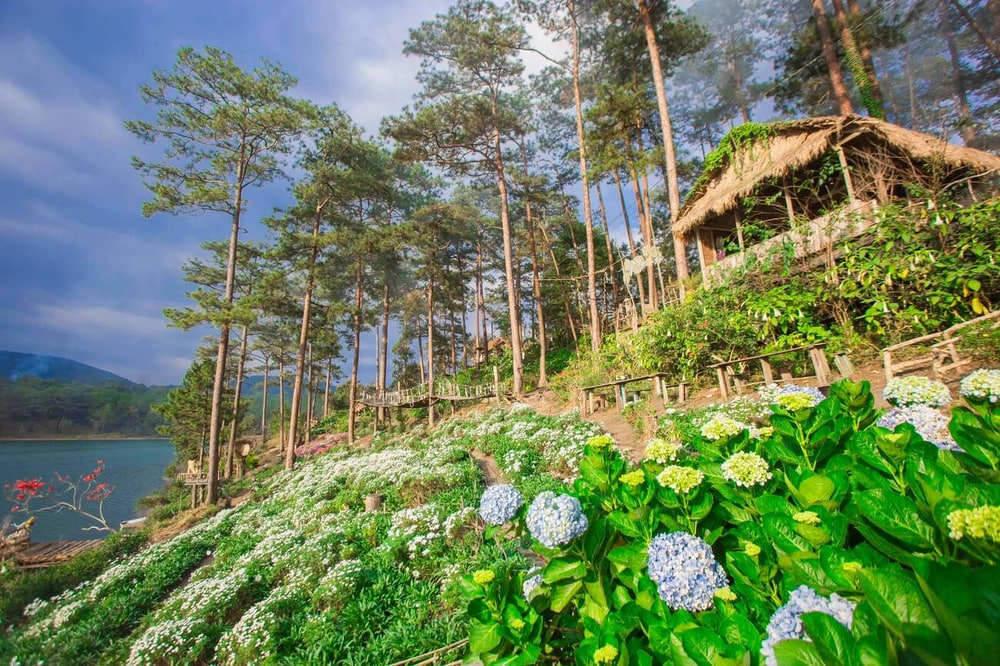 Happy Hill hút khách bởi khung cảnh thơ mộng, bình yên bên bờ Hồ Tuyền Lâm trong vắt